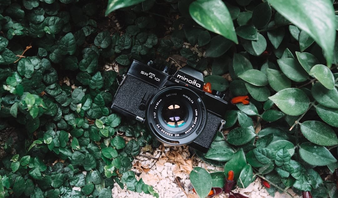 Photo Outdoor camera