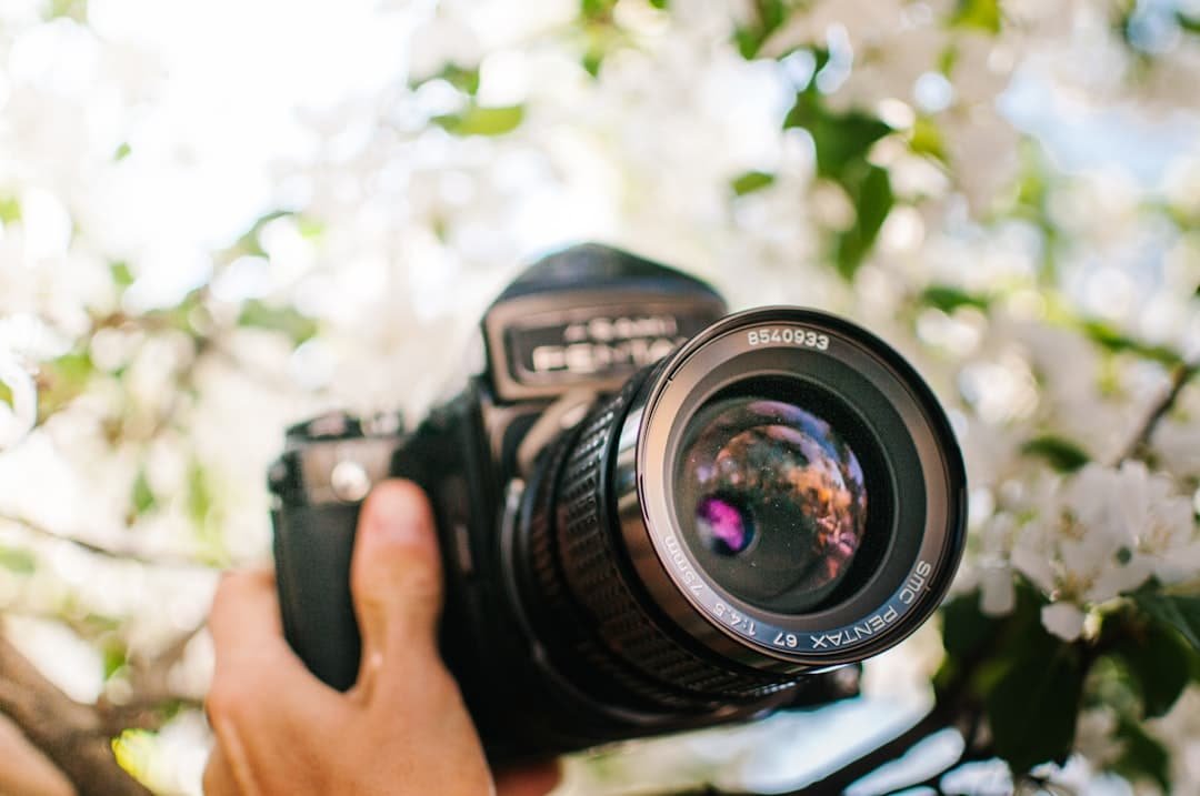 Photo Outdoor camera