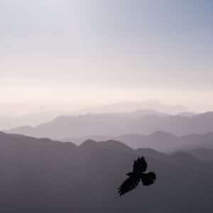 Photo Outdoor surveillance