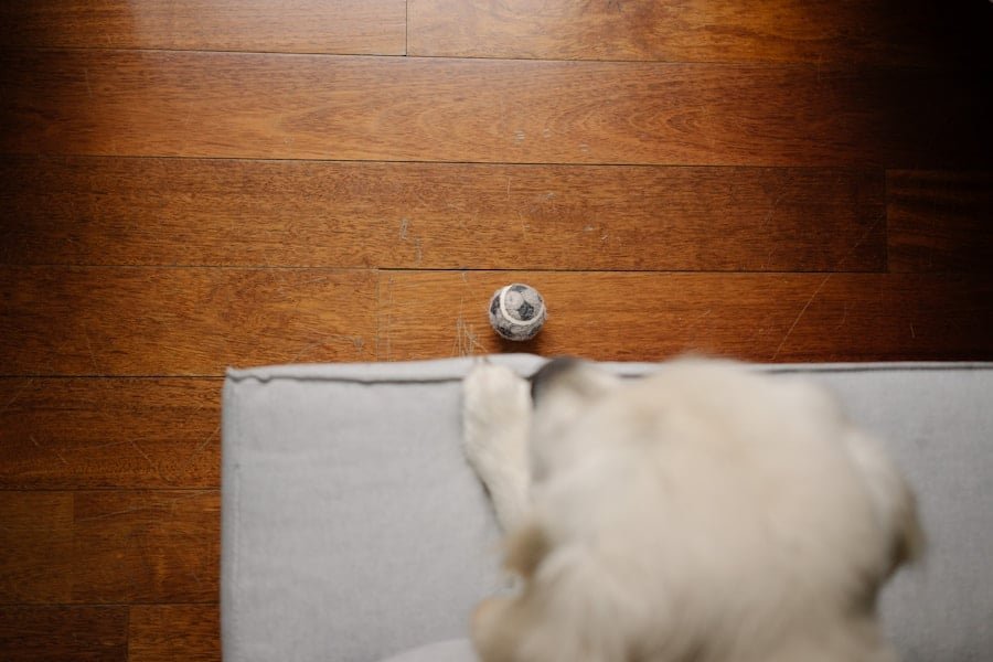 Photo "Can I Adjust the Sensitivity of These Home Security Devices?"