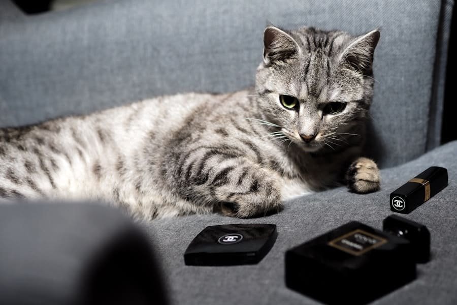 Photo "Can Home Security Devices Be Used for Monitoring Pets or Kids?"