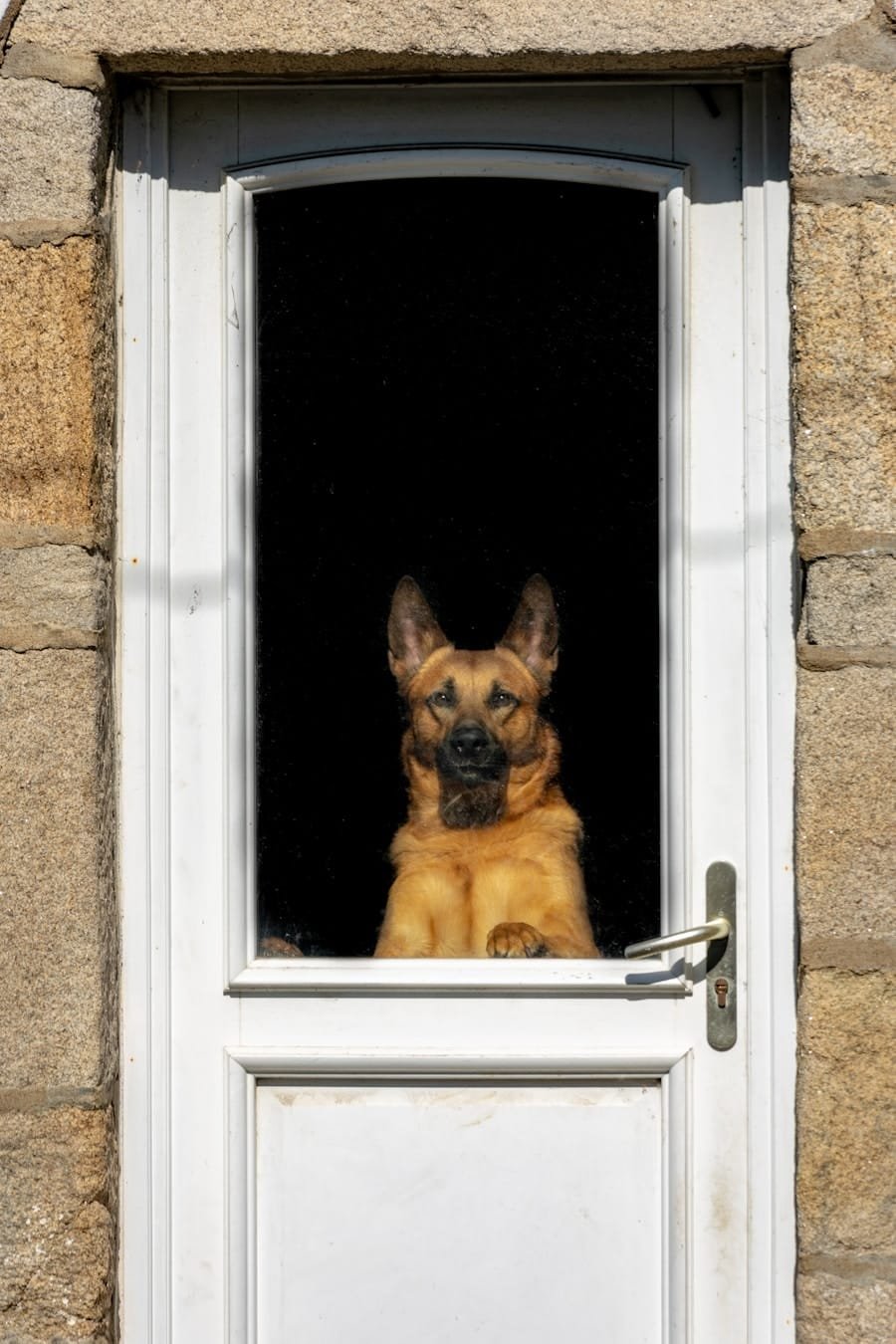 Photo "Can I Move the Home Security System if I Relocate?"