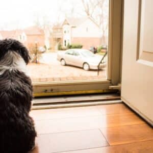 Photo "Can I Use My Security System to Detect Unusual Patterns or Behavior?"