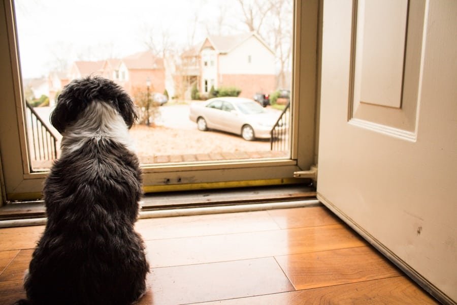 Photo "Can I Use My Security System to Detect Unusual Patterns or Behavior?"