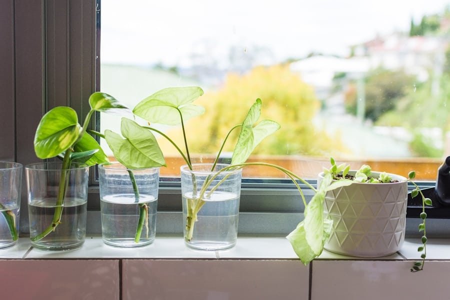 Photo "Can My Security System Alert Me if My Plants Are Not Getting Enough Water?"
