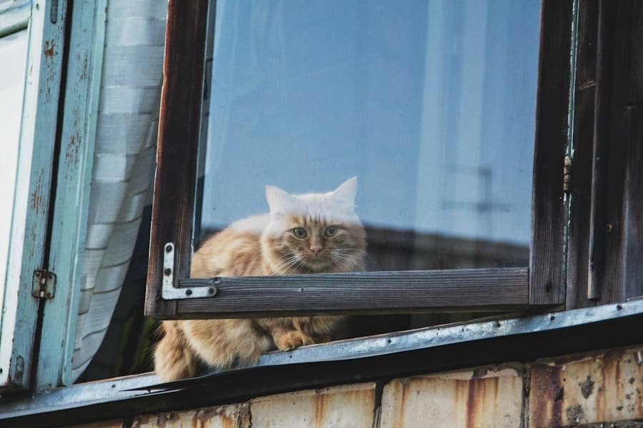 Photo "Can My Security System Alert Me if Someone is Snooping Around My Windows?"