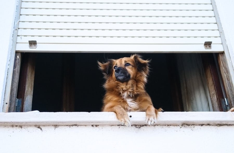 Photo "Can My Security System Detect Subtle Changes in Temperature or Humidity Indicative of a Break-in?"