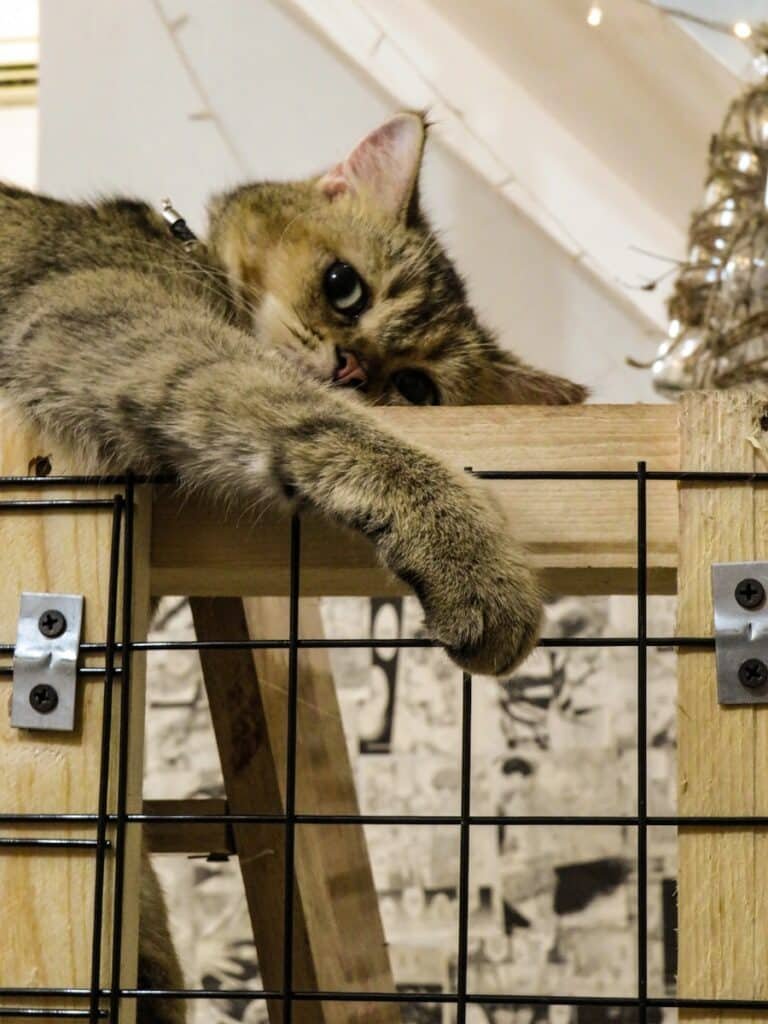 Photo "Can My Security System Detect Unusual Sounds or Noises?"