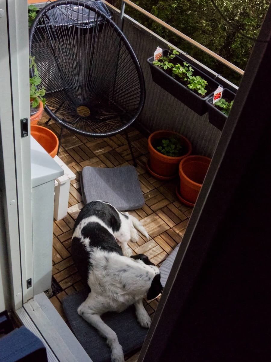 Photo "Can My Security System Integrate with My Smart Garden?"