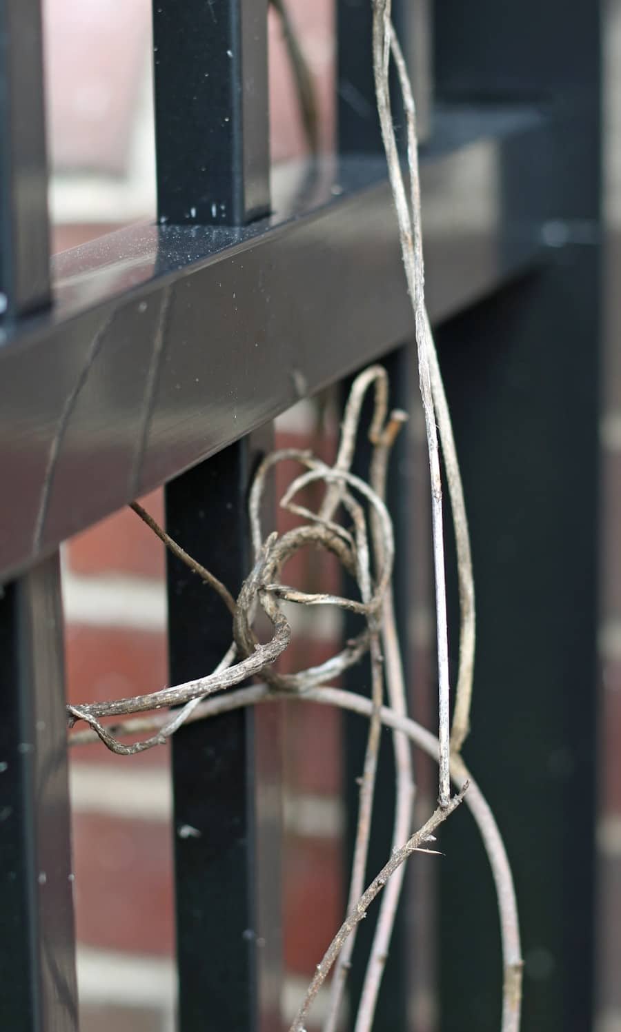 Photo "Do Home Security Devices Require Any Special Wiring?"