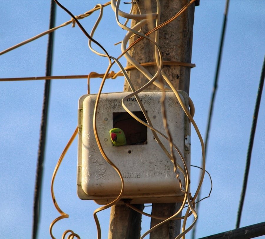 Photo "Can My System Use Sonic Deterrents in Addition to Alarms?"