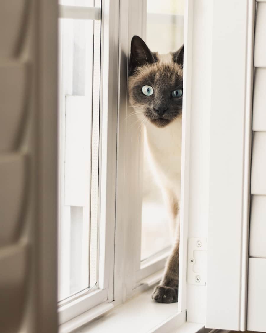 Photo "Do I Need to Register My Security System?"