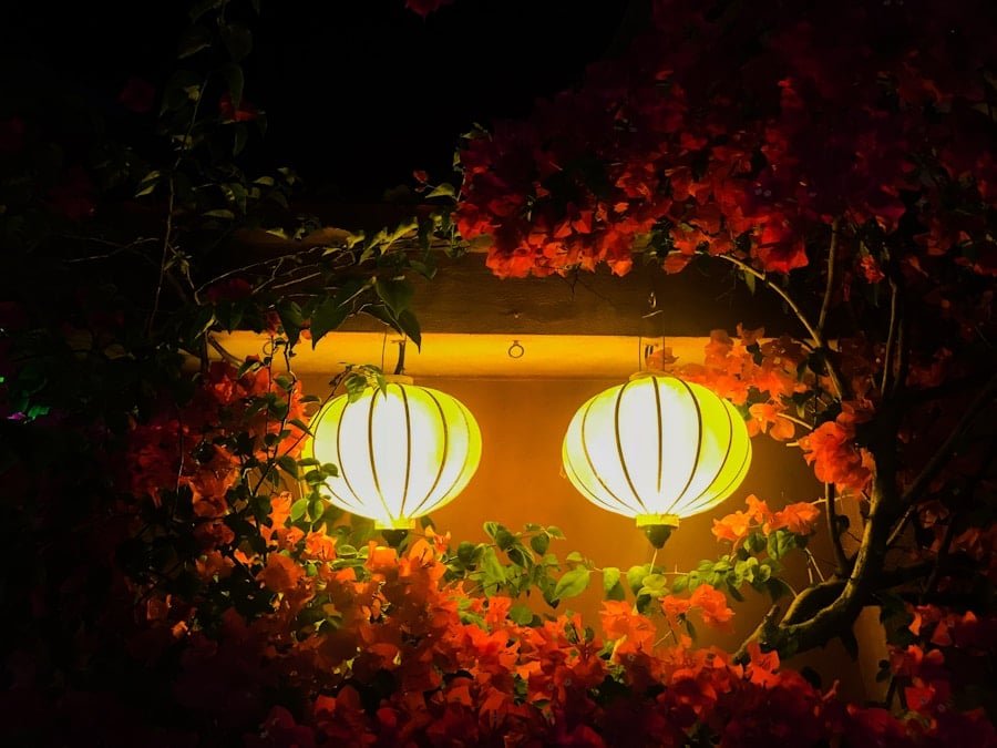 Photo "Could My Garden Lighting Be Integrated into My Home Security Strategy?"