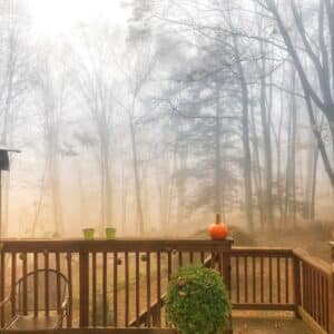 Photo "Can Home Security Cameras See Through Fog or Rain?"