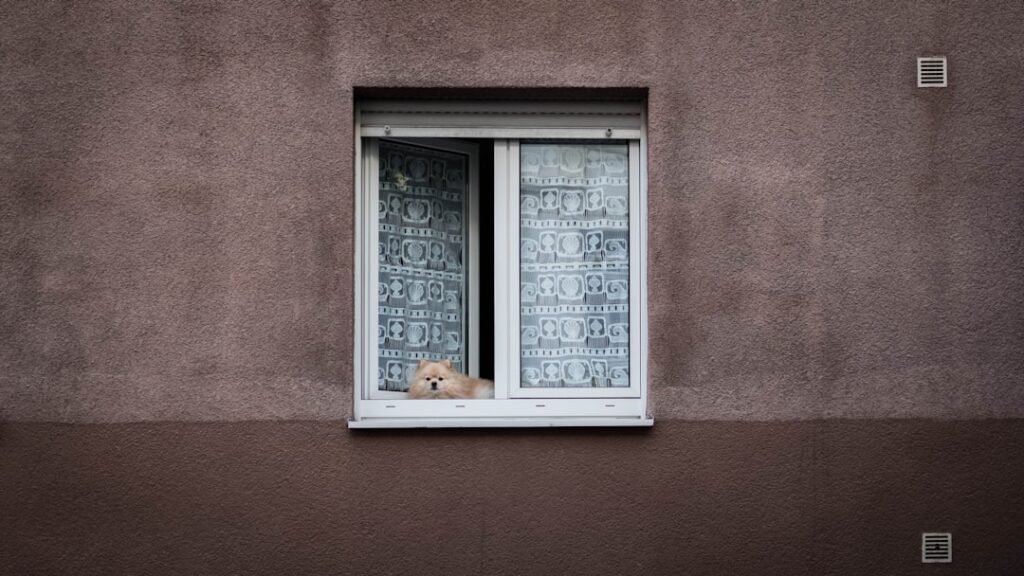 Photo Secure Home Windows