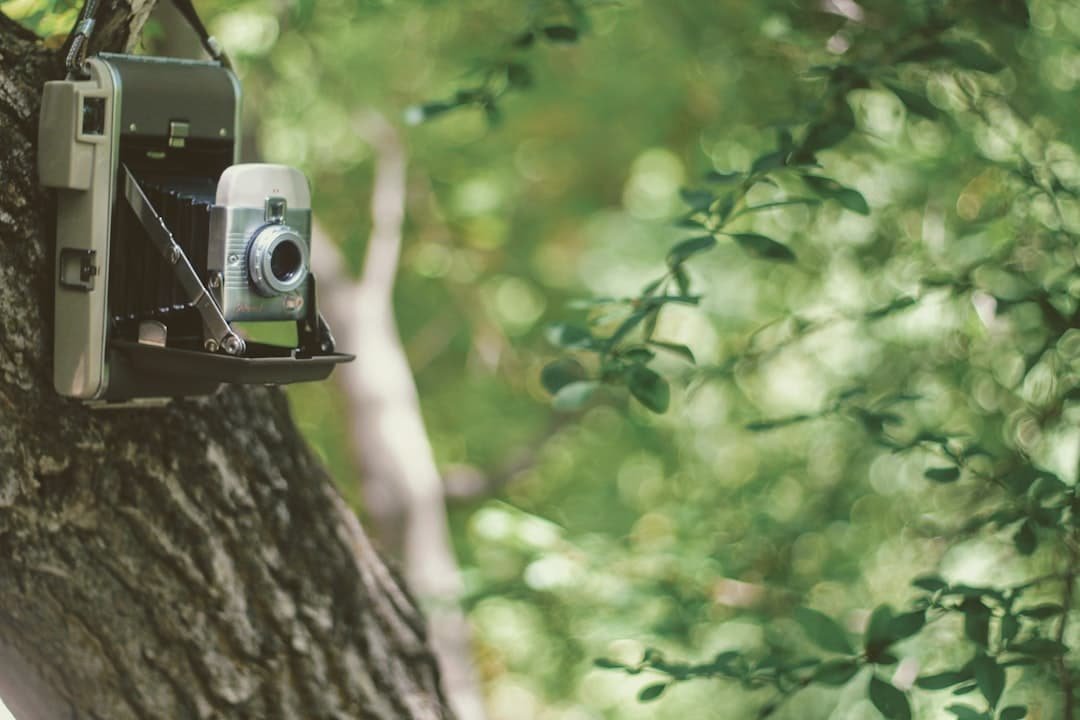 Photo Home Smart Security Systems Night Vision Cameras