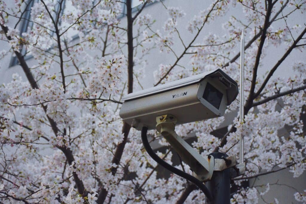 Photo Cons of Security Cameras