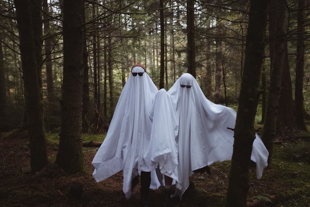 Photo ghost My Home Online