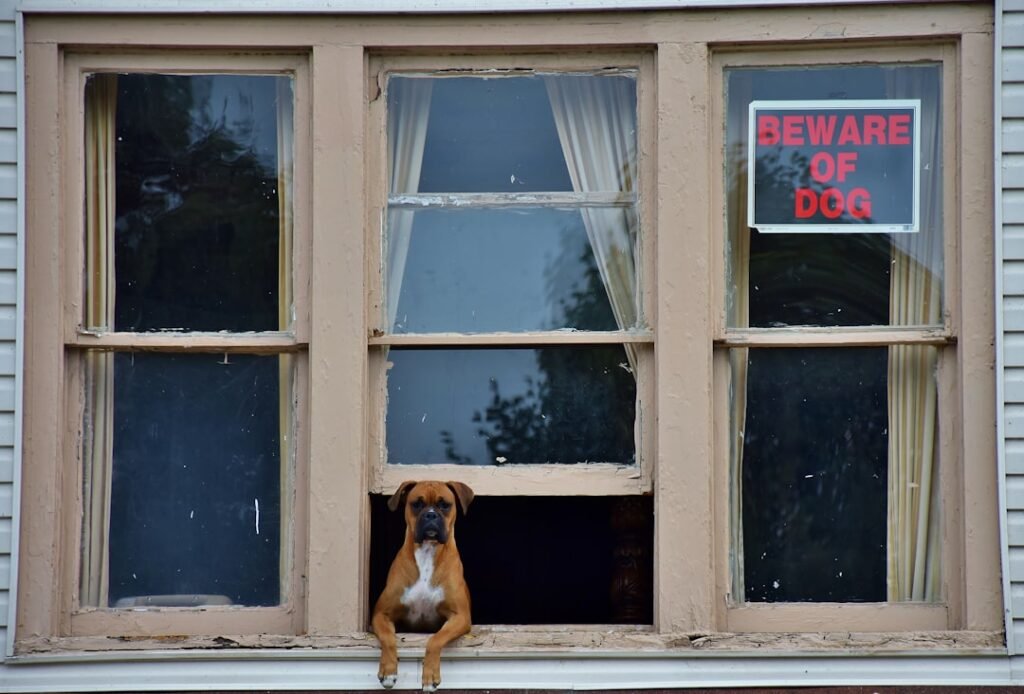 Photo Advanced Home Security