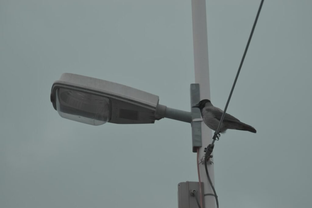 Photo Surveillance Cameras with Audio