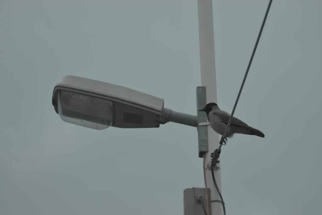 Photo Surveillance Cameras with Audio