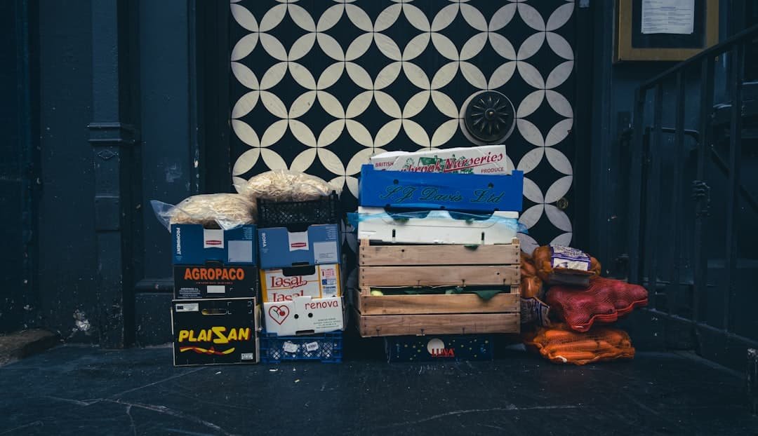 Photo Home Security Kit