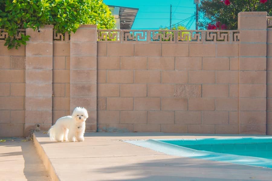 Home Security System Service Valencia Chandler Arizona