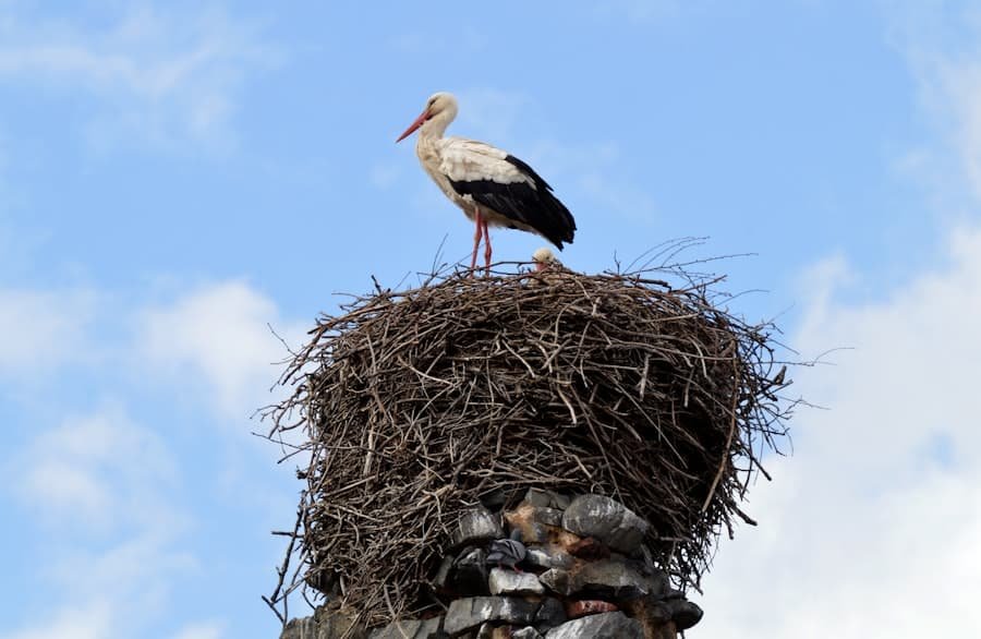 Nest Security System
