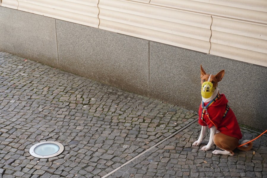 Pet-friendly Security System