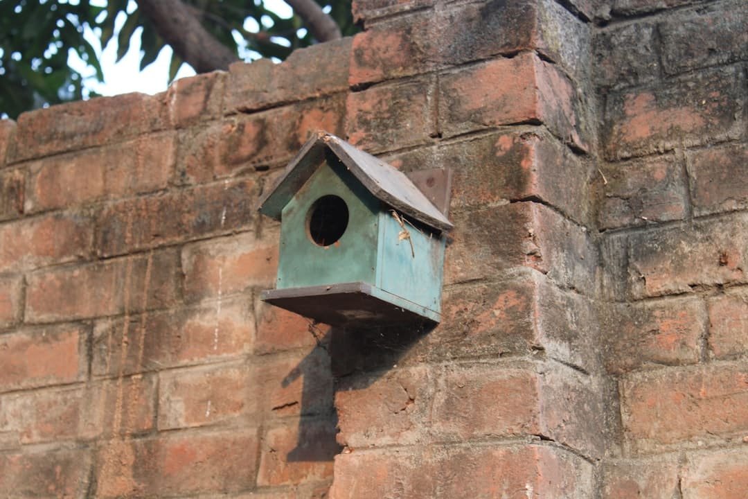 Photo Nest Security System