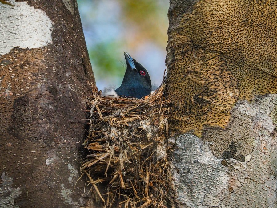 Photo Nest Security System