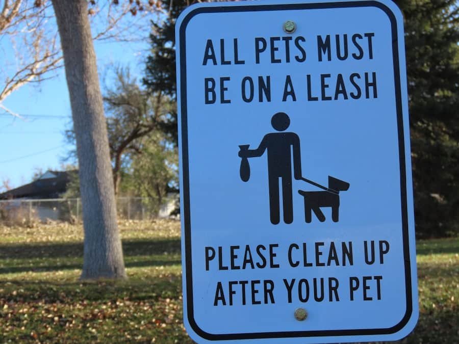 Photo Pet-friendly Security System
